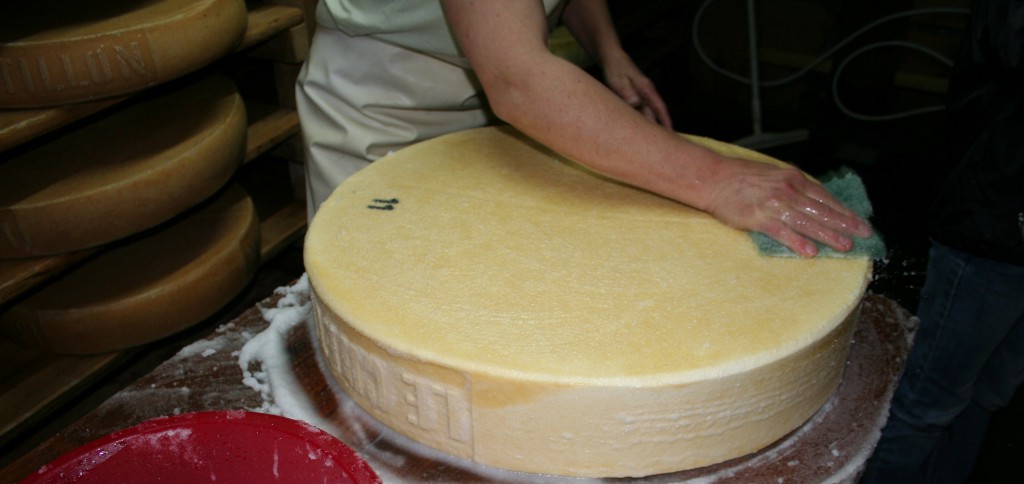 4-12-Salage.jpg
