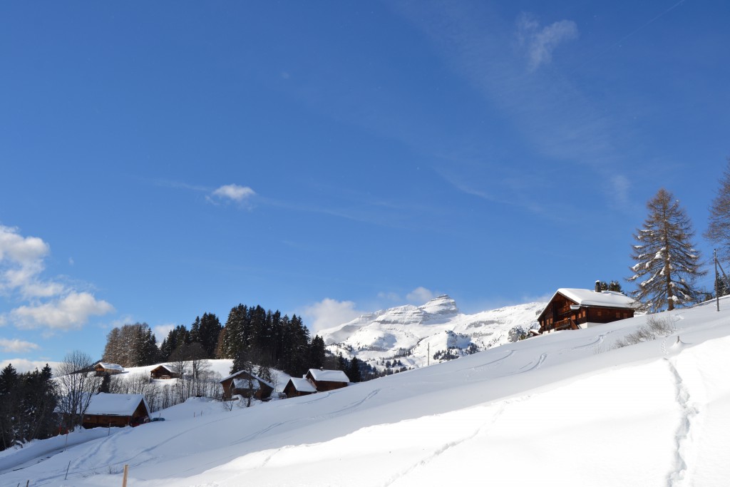 6-10-neige